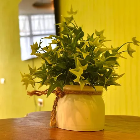 Chalenko Terrace Sea View Arcadia Appartement *